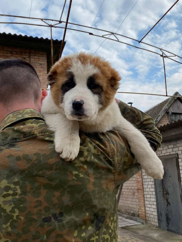 1F1E86B9-D181-4822-BD1B-C1BDFF2EC733