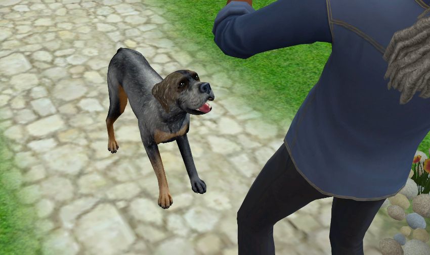 Sims2-EP9-2021-03-06-17-07-55-49
