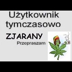 Awatar użytkownika