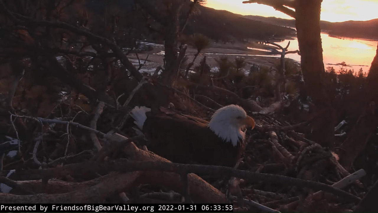 Webp.net-gifmaker (2)