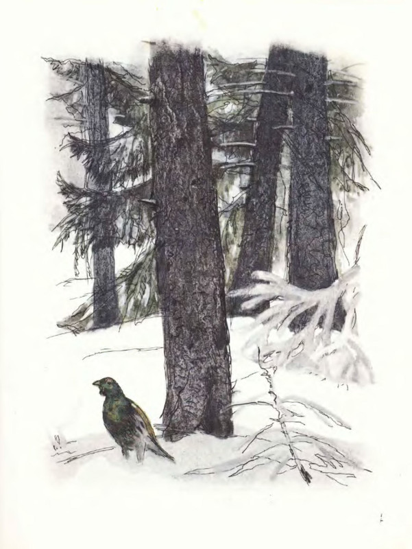 p0014