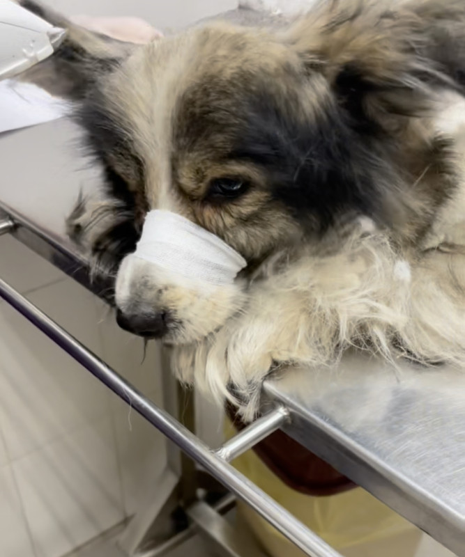 F191B33D-912E-48D7-A3DF-5F078A9FA436