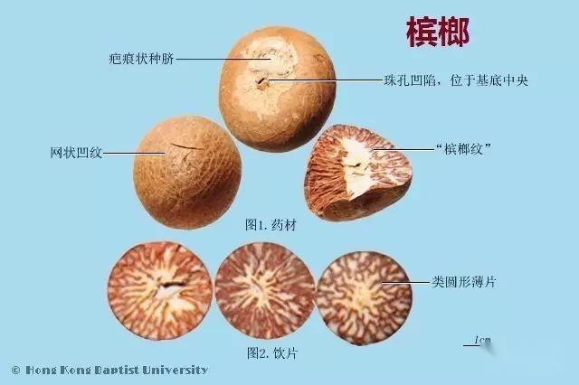 槟榔