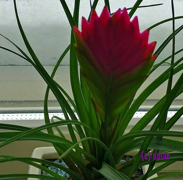 [Image: IMG-20250405-134410.jpg]