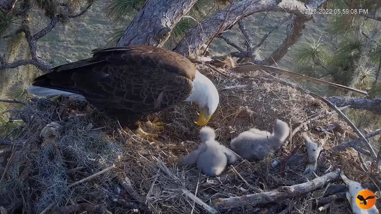 EC 4K Overhead Cam 7-7-0 screenshot