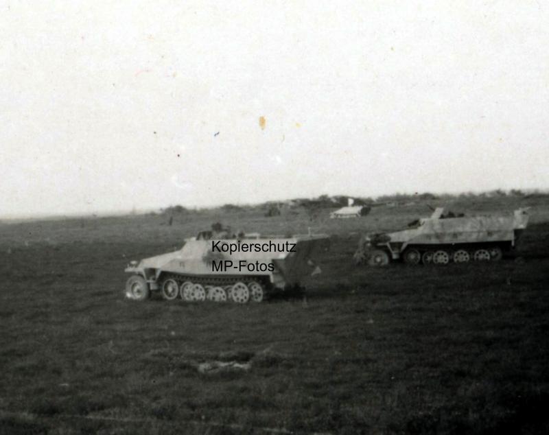 Panzer LW Felddivision HG Tiger Camo Tarn Späh S