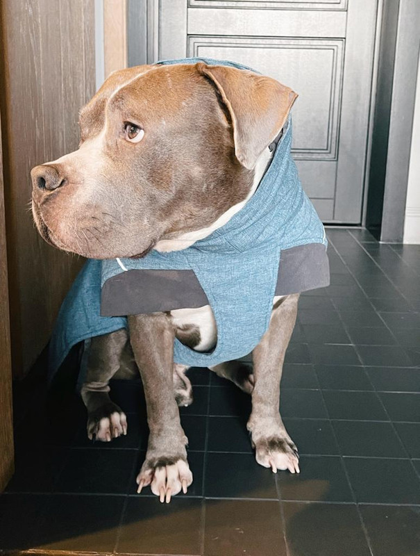 821BEE89-9CFF-44DF-BC81-9A50BD92AB58