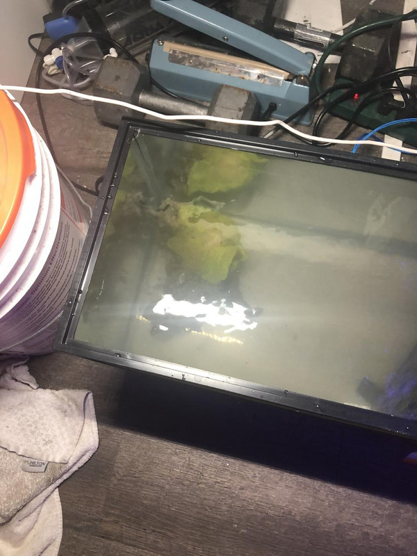 D10518CD-7202-439F-84AA-EF11E28DE32E