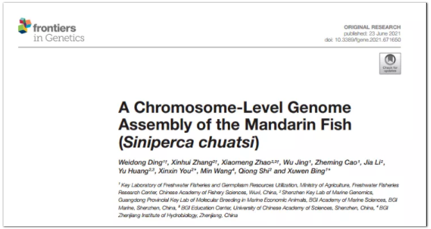 翘嘴鳜(Siniperca chuatsi)染色体水平基因组-1.png