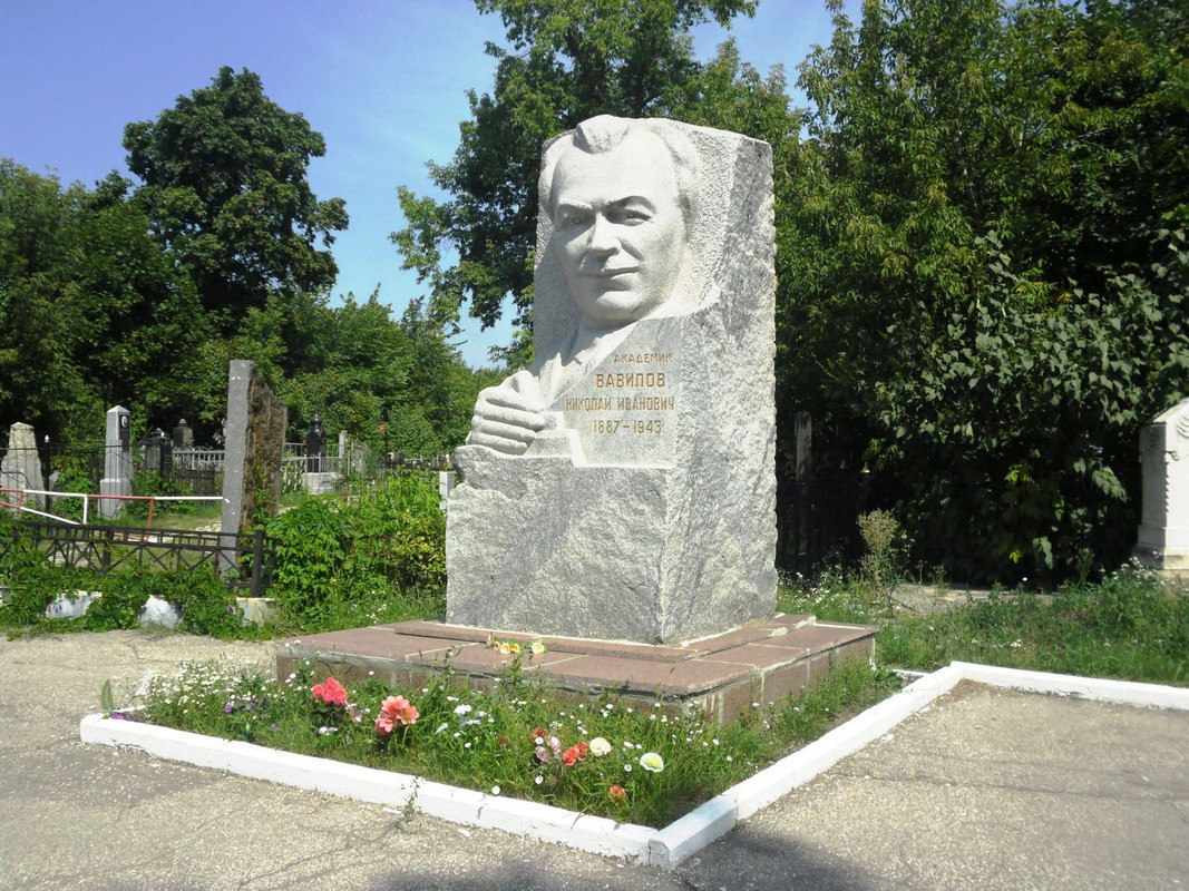 SAM-9805
