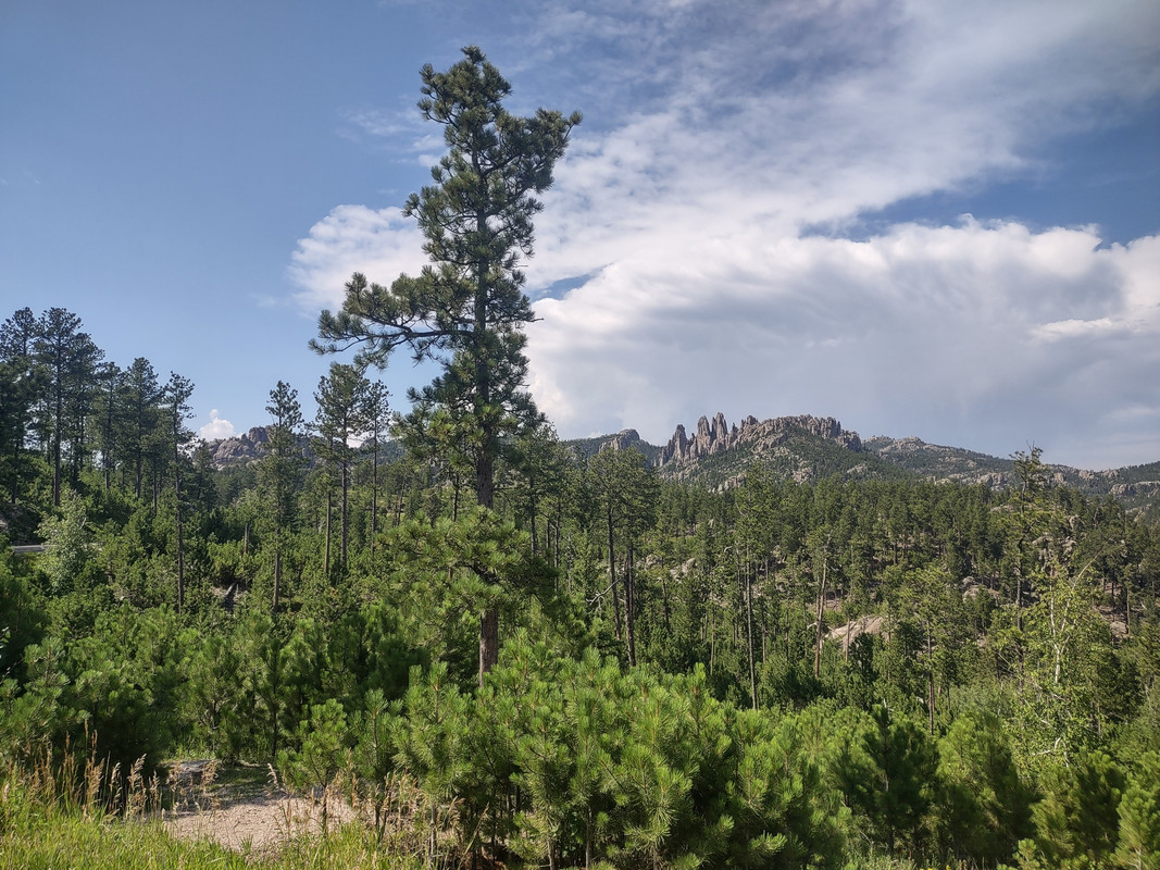 IMG_20250802_152840071_HDR