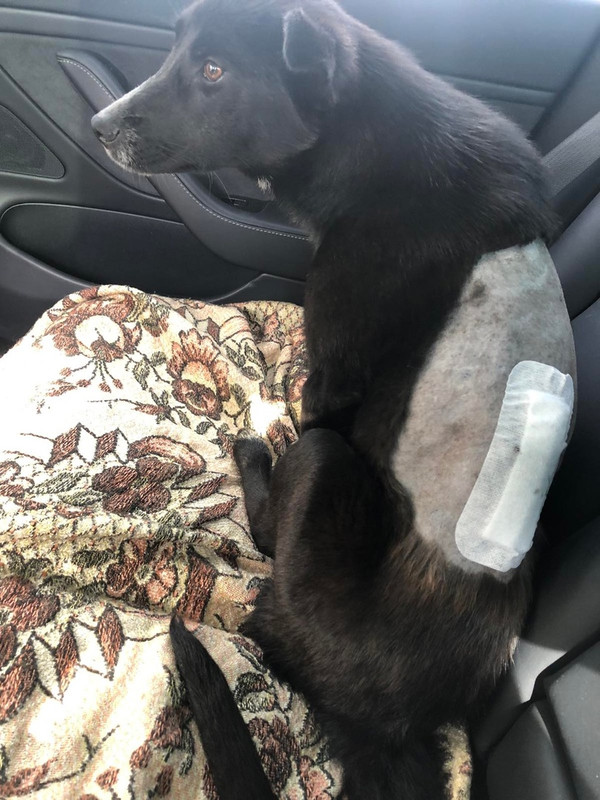 6_KcX81HOOyVI0QPMv3_JL8X4h1Z2wZ7echroKoEmAlSrvC90gcWP2TukqcFtgxcbvIC8_aSSKbjMtIdbst7cuS7