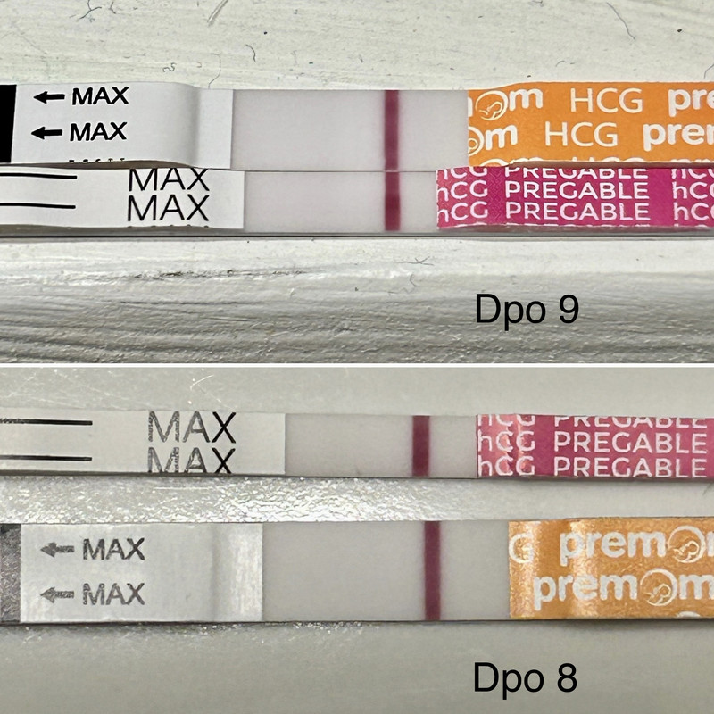 62DE2652-61E3-4EB0-BDA7-4C053C563C50