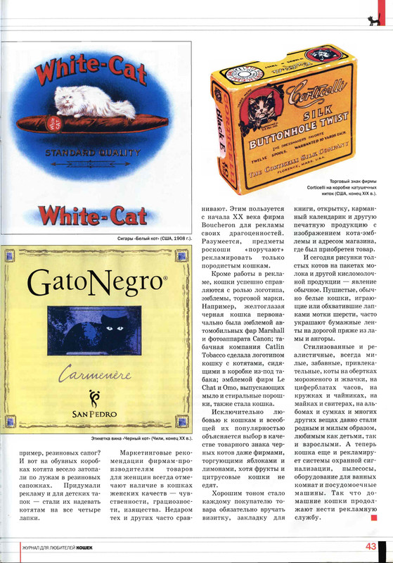 Друг кошек 2007-07-41