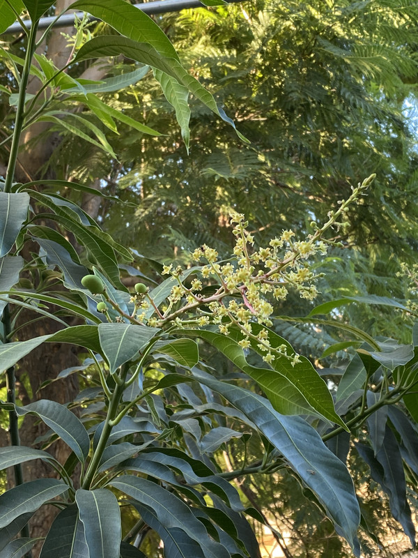 211DA80B-03B2-4591-A6A3-D8D8C01CDF19