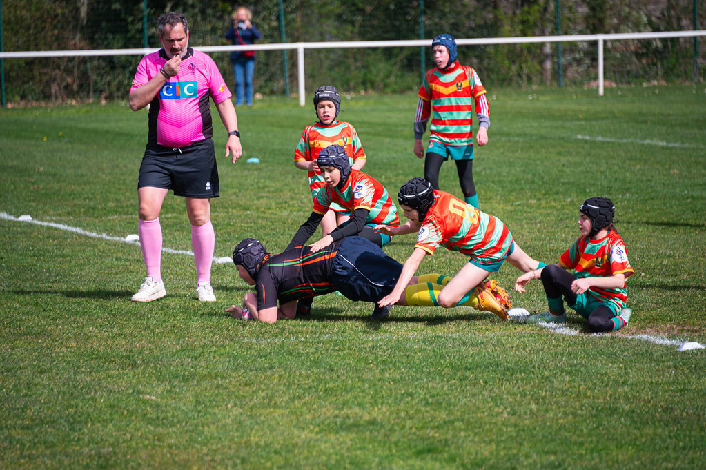 tournoi-de-latlantique-2026-adonis-griffon-54-55181549019-l