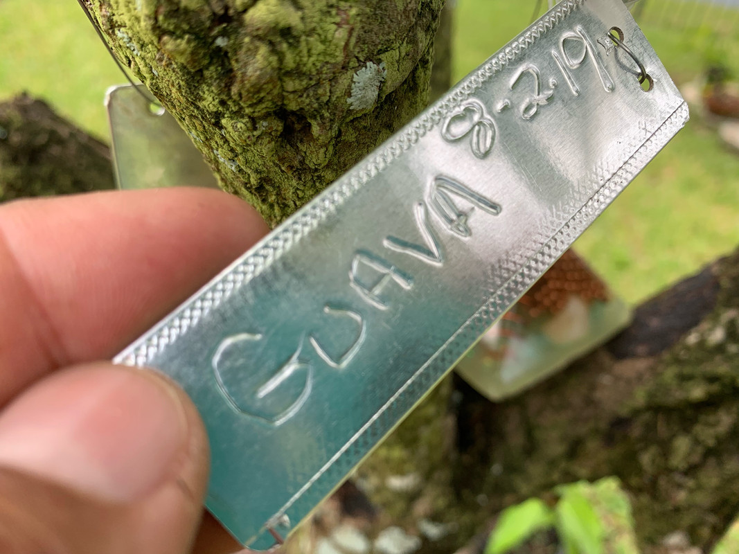 E8F097AA-A76A-43C9-8DED-2EB988BA5A0C