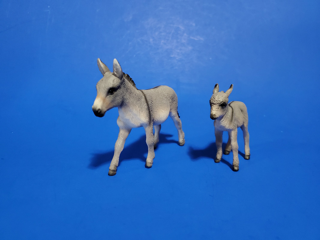 Mojo Fun 2020 Donkey Jenny and Foal walkaround 20200701-134032