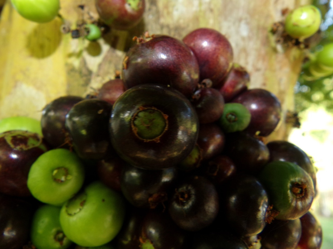 WhatsApp Image 2020-12-20 at 00.58.58 (37)