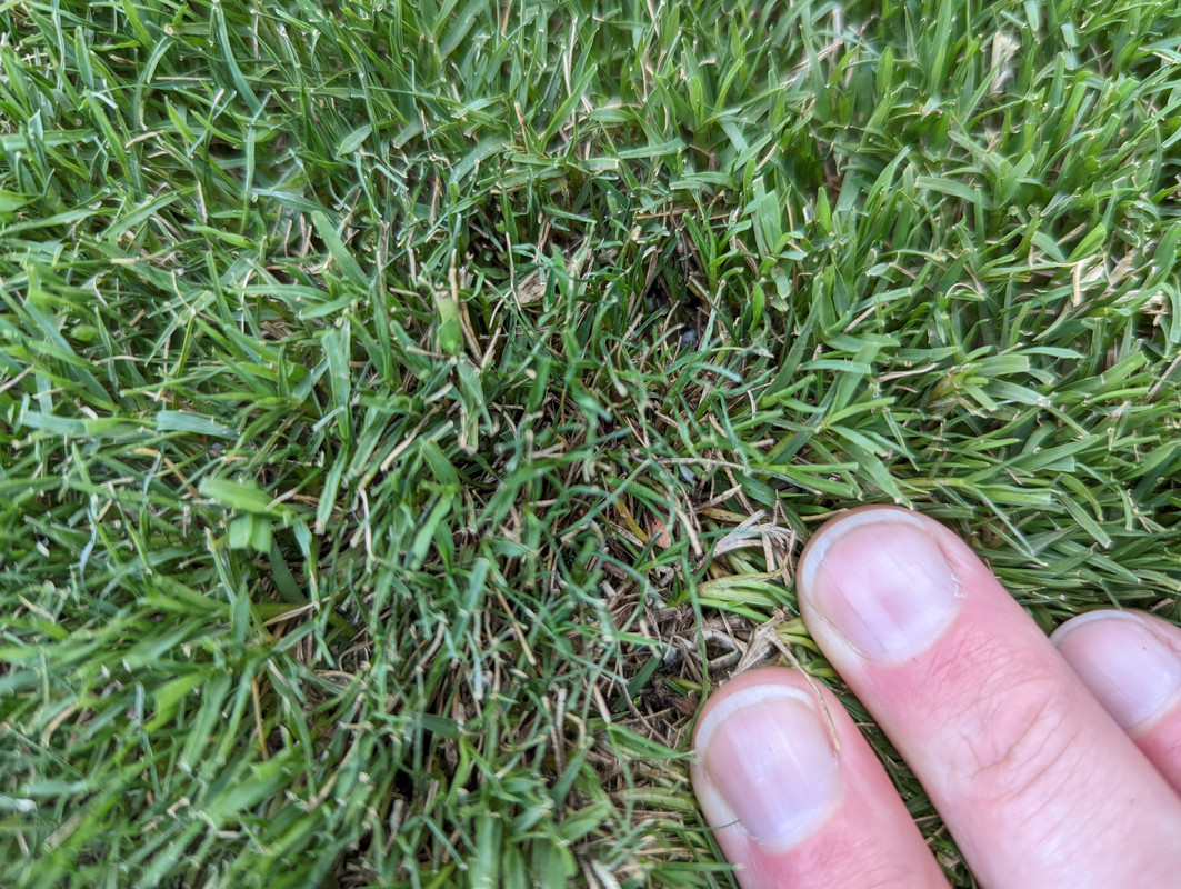 PXL_20220519_135947344