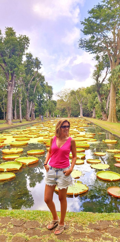 Isla Mauricio II: rozando el nirvana - Blogs de Mauricio - Port Louis y Jardín de Pamplemousses (7)