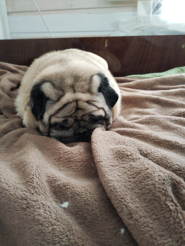 16760087675954699399720307792653