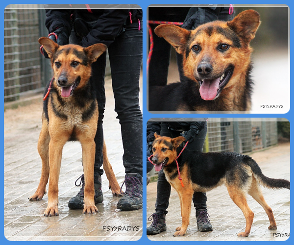 BeFunky-collage (16)