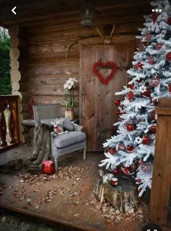 Screenshot_20231224_202125_Pinterest