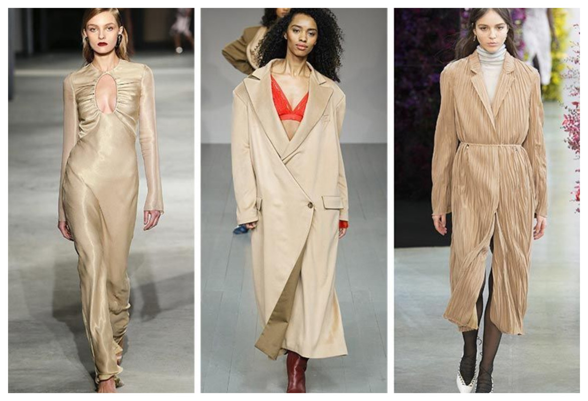 color trends