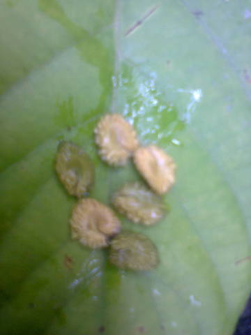 Photo0136
