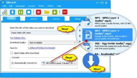 Allavsoft Video Downloader Converter 3.24.9.8219 Multilingual Portable