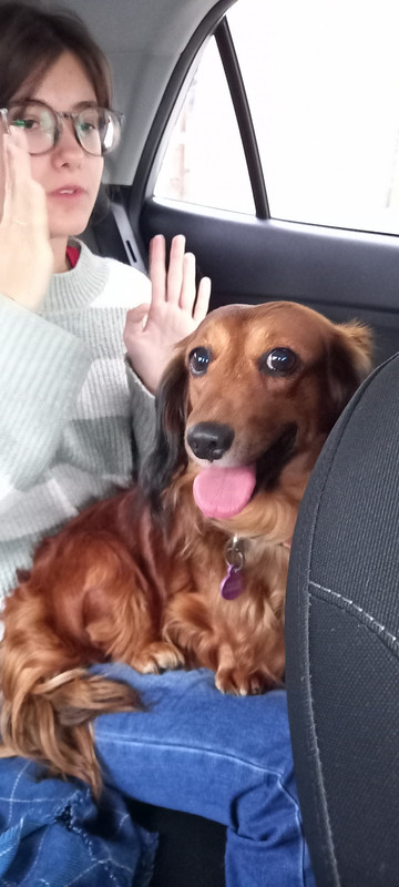 [Image: 20241005-185330.jpg]