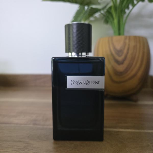 Y EDP Intense