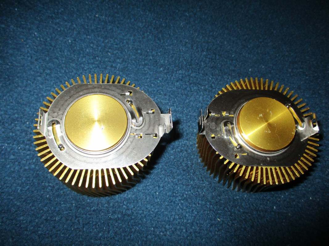 IMG-6979.jpg