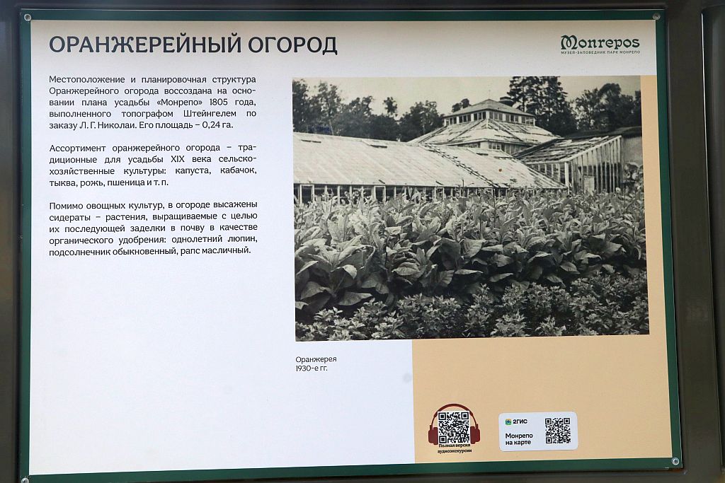 https://i.postimg.cc/gJpZyWfQ/IMG-2463.jpg