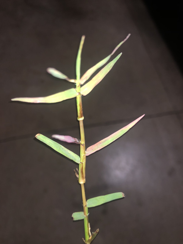 6CA52F01-1DB6-4253-93D1-AE6F26A87D08