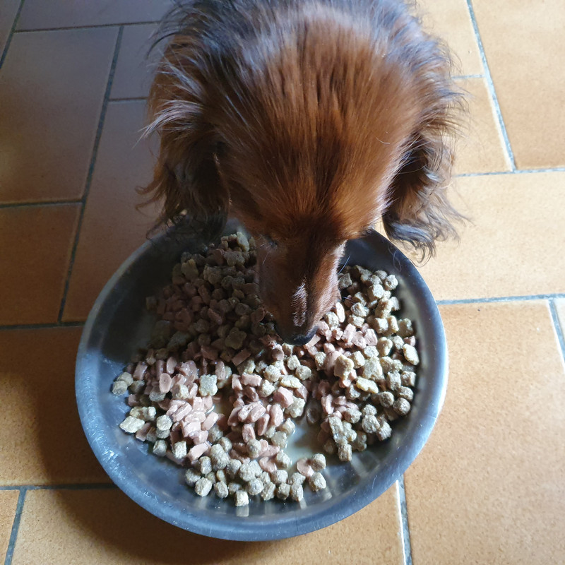 [Image: 20210518-101931.jpg]