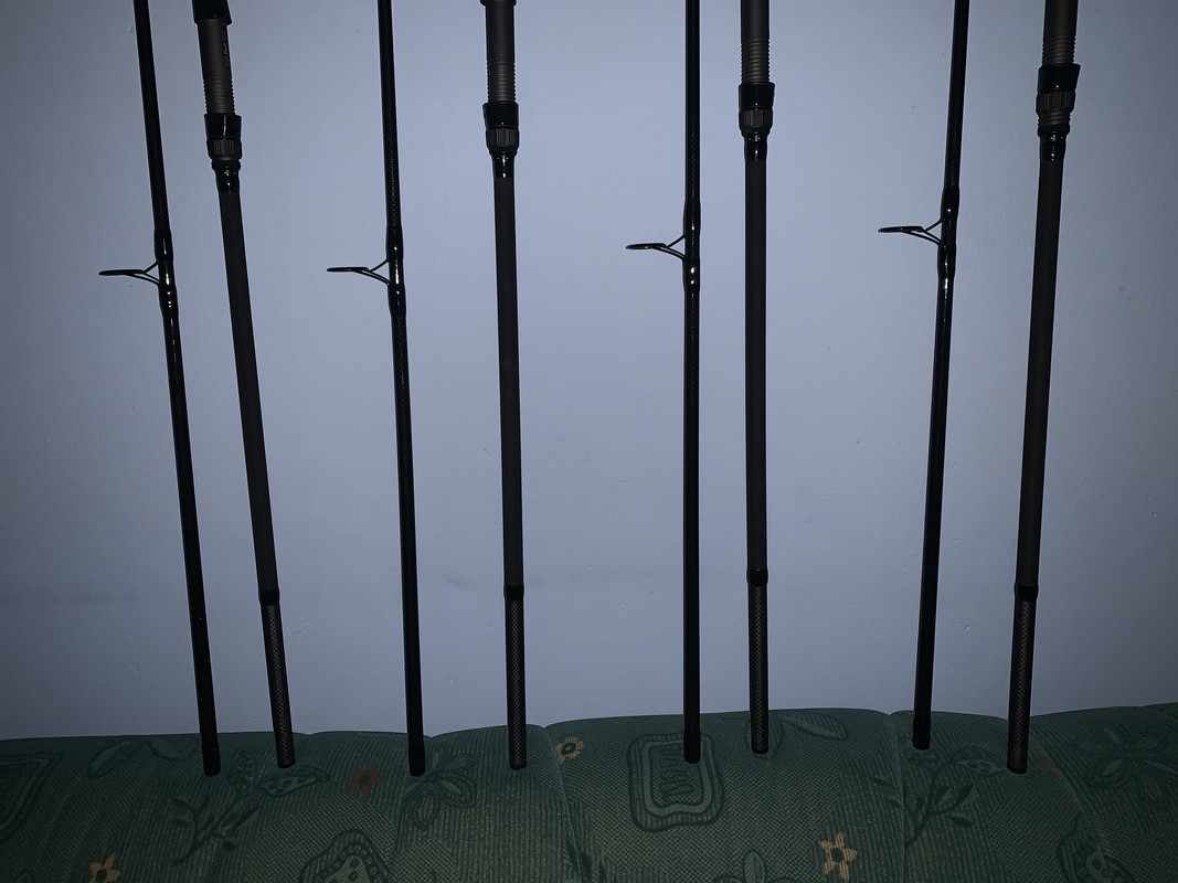 9CE0055C-C903-4DD9-8A6E-9C8B9A1A622B