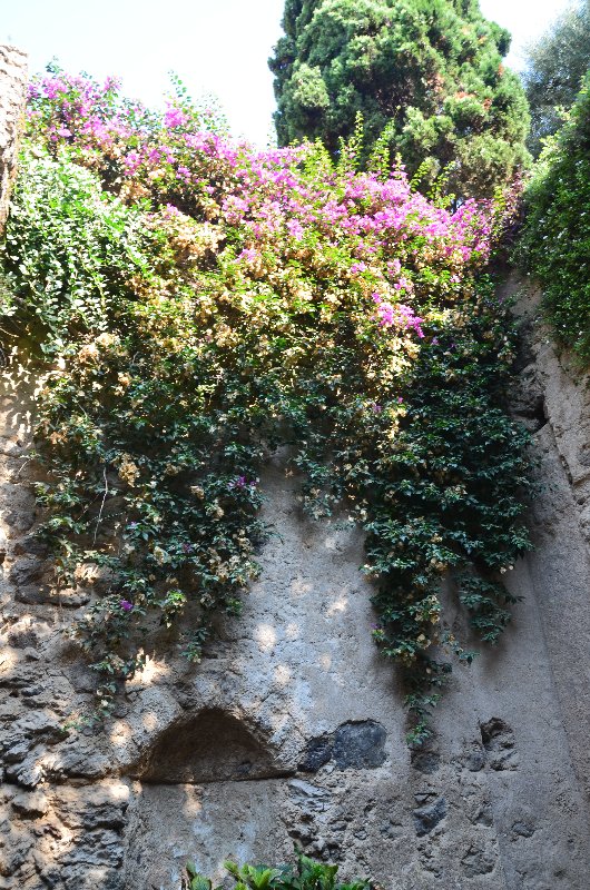 Italia y sus pueblos-2018/2019/2023 - Blogs de Italia - ISLA DE ISCHIA-21-9-2018 (60)