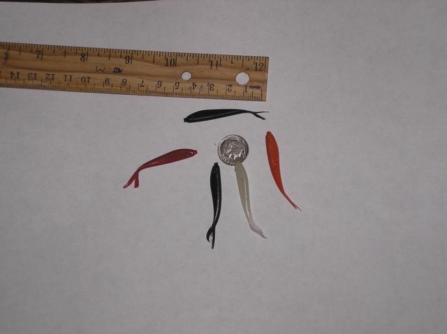 P1010004 (2)