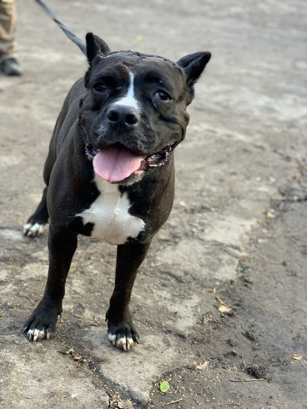 1D6B294A-08A6-4087-91FF-3B29B92C535D