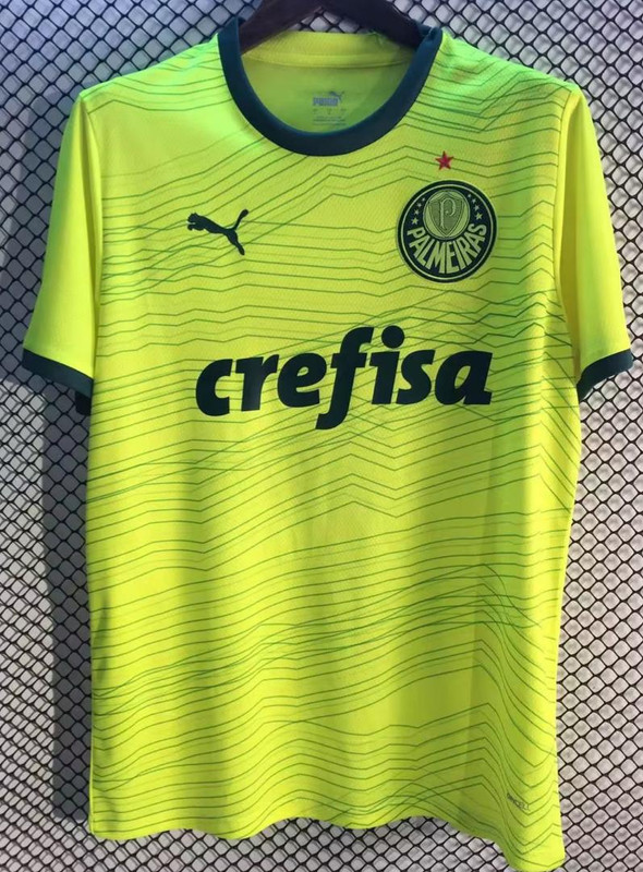 Palmeiras 3 23.24 (2)