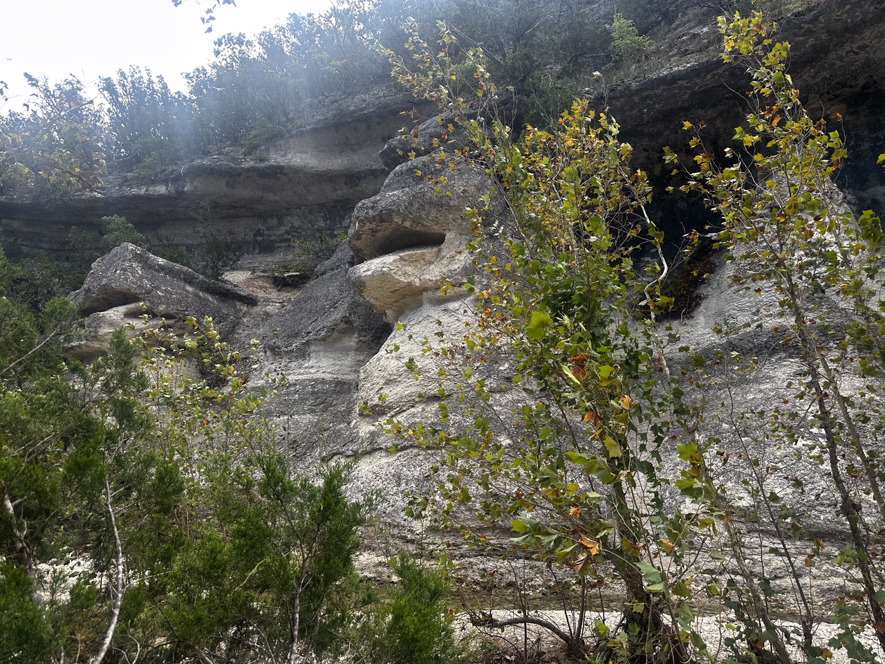 A rock formation shaped like a monkey