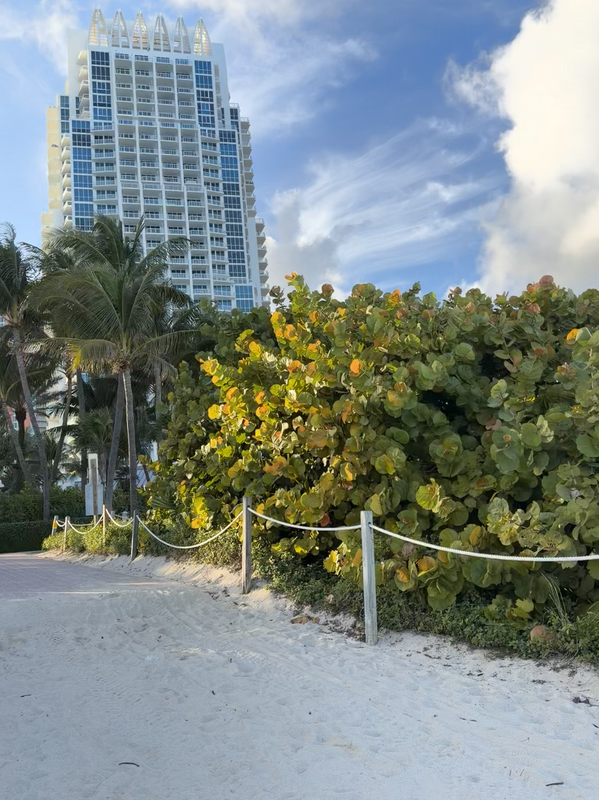 [Image: South-Pointe6.png]