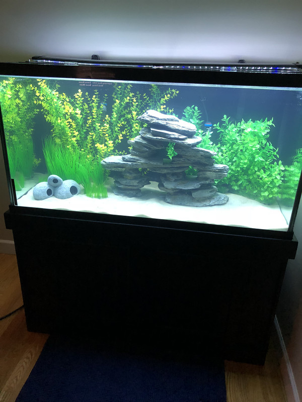 09A48A56-80F0-4D5F-A66A-BDE27E6295AE