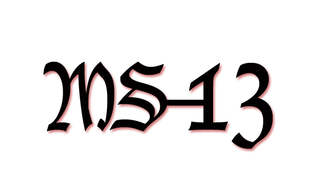 MS13.jpg