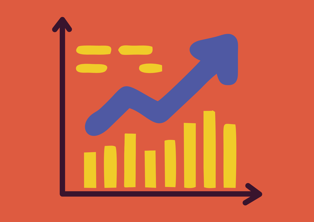 Programme and Implementation Delivery