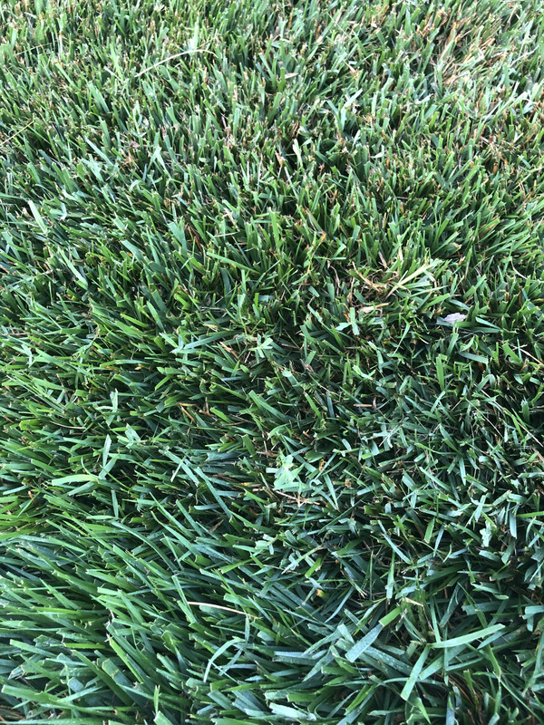 B3A5AC11-8CA4-4AA8-A0B3-76BFFEFC7A63