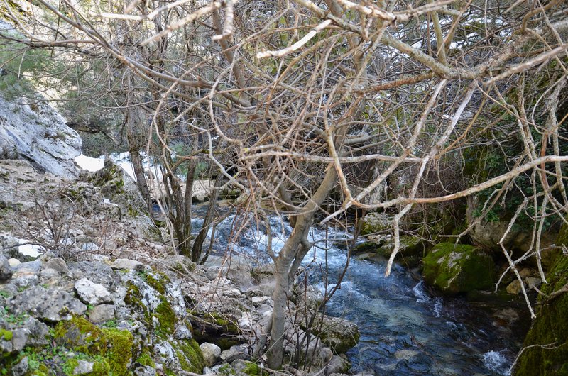 RUTA RIO BOROSA-12-3-2016-JAEN - Paseando por España-1991/2016 (160)