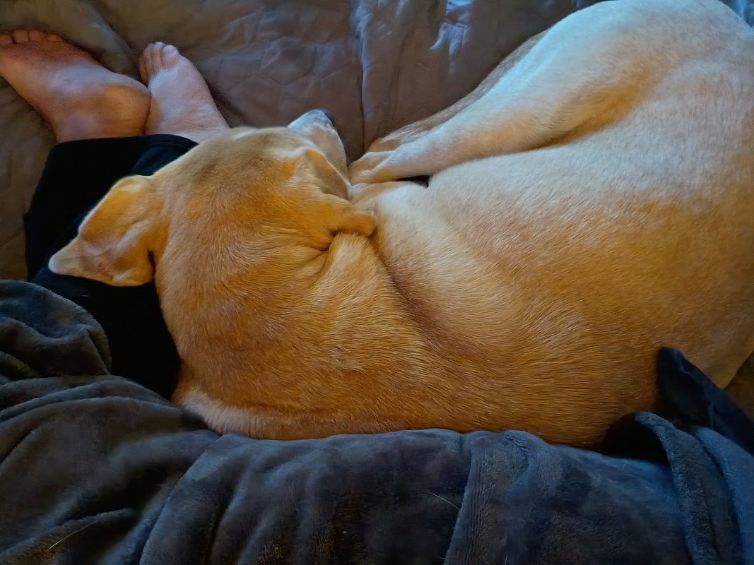 IMG 20251102 163723927